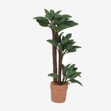 Flower Pot