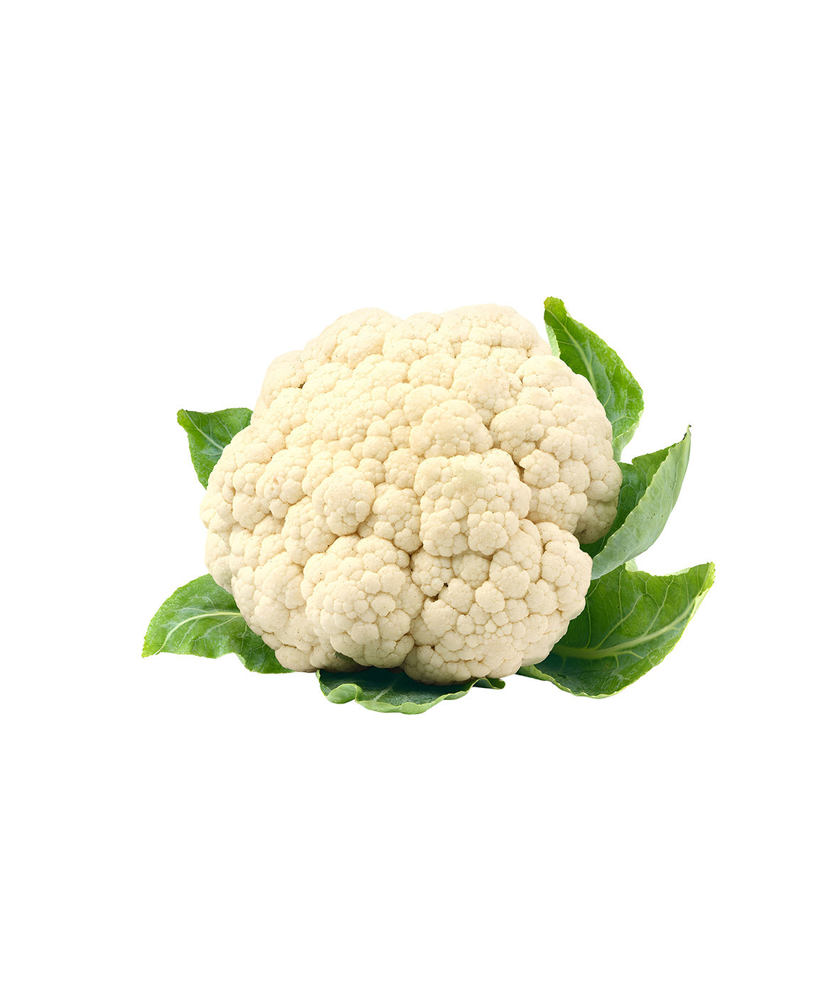 Fresh Cauliflower 1 Head