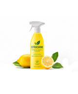 Lemon Dishwashing Liquid (750ml)