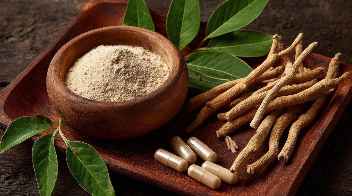 Ashwagandha: the adaptogen explained well
