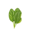 Fresh Baby Spinach 250g