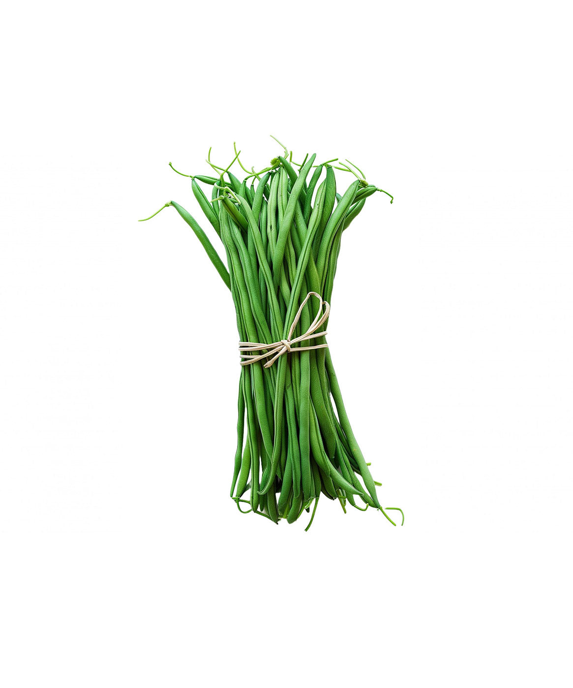 French Green Beans 500g