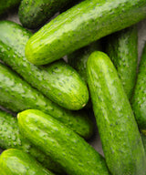 Fresh Cucumbers 500g