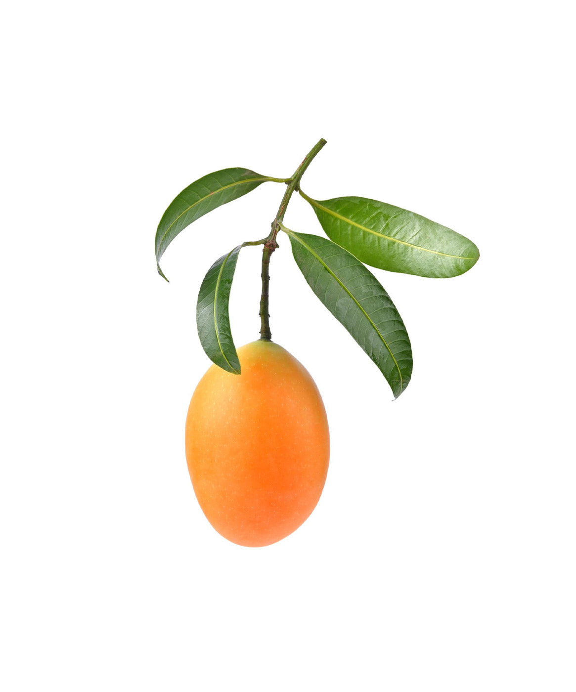 Organic Fresh Mangoes 1kg